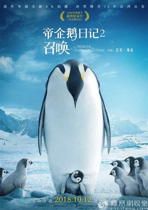 企鹅群里有特务，企鹅们搞蒙了，第3集_腾讯视频