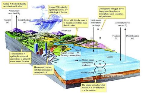 地下水“三氮”污染来源及其识别方法研究进展