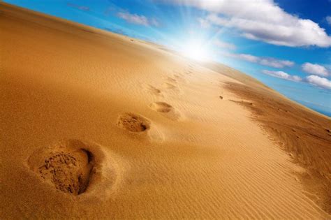 沙丘，一种“来自外星”的景观_沙漠