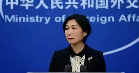 中国外交天团再添一员，毛宁成最年轻女发言人，拥有27年工作经验|攻击|毛宁|美方_新浪新闻