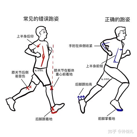 马拉松运动员的寿命 运动更加健康长寿_知秀网