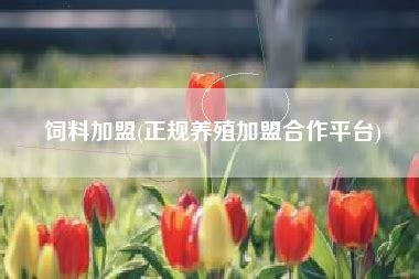 中国新兔子养殖联盟加盟方式（技术+销路+基地+互联网）