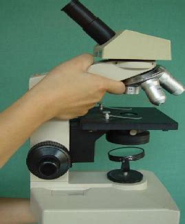 使用显微镜的五个基本步骤_360新知