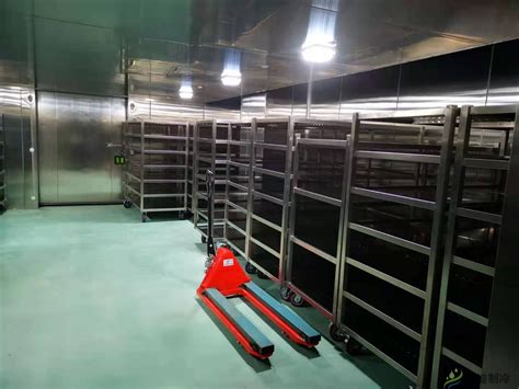 广州建造500平低温水产海鲜冷冻库安装价格_冷迪制冷