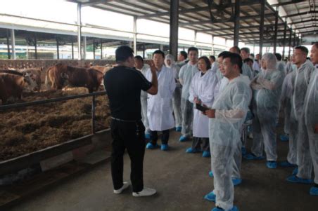 我校畜牧专家到11团7连开展牛羊养殖技术服务-塔里木大学