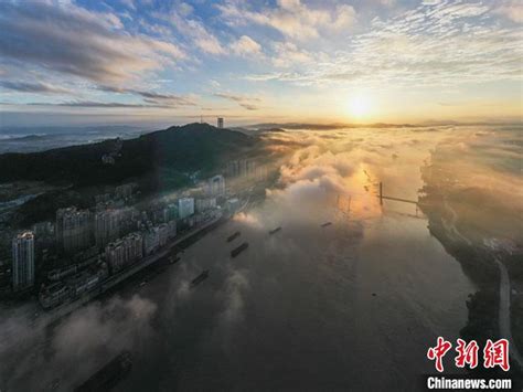 广西梧州：西江黄金水道货运忙-人民图片网