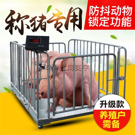 称猪地磅,畜牧牲畜电子秤-上海奕宇电子科技有限公司
