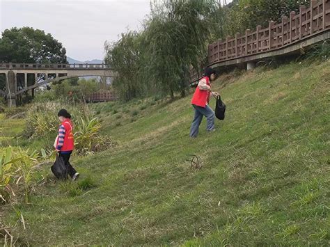 新浦街道：陇东社区开展青少年“清理垃圾、保护环境”志愿服务活动