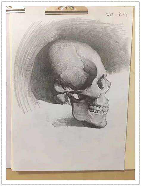 人体骷颅头图片