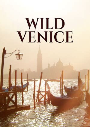 野性威尼斯 Wild Venice - 搜奈飞