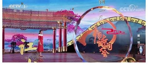 中国诗词大会第一季 - 董卿网站卿国卿城