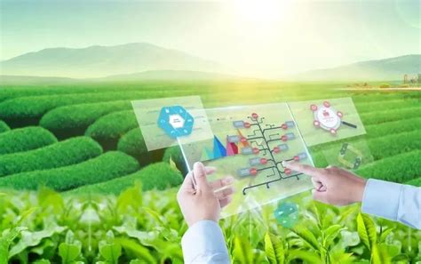 美御农业品牌策划-农业科技公司为何要打造数字农业品牌-上海美御