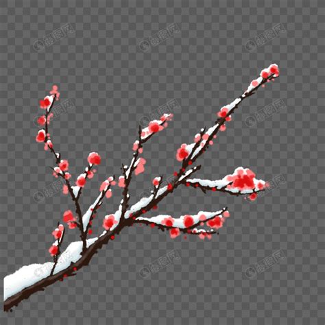 红梅落雪元素素材下载-正版素材401640840-摄图网