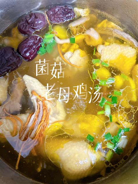 【七彩菌菇老母鸡汤的做法步骤图，怎么做好吃】安吉拉兔子_下厨房