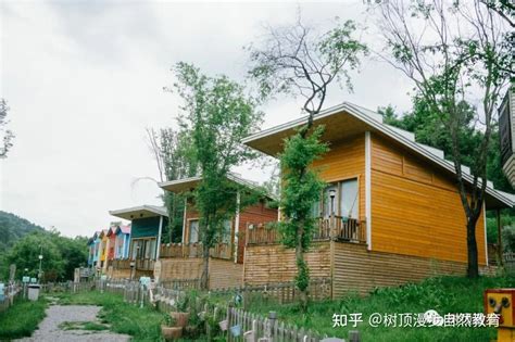 延安黄龙有个树顶漫步自然科普教育基地|黄龙|延安|黄龙县_新浪新闻
