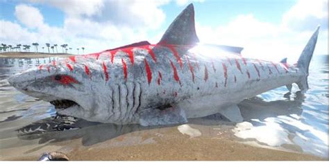 方舟生存进化巨齿鲨怎么驯服 巨齿鲨属性及驯服方法一览_特玩网