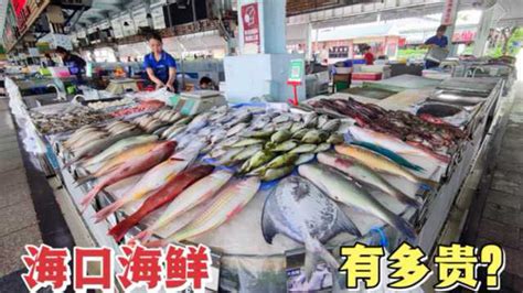 实拍海口最大的海鲜市场，海鲜的种类琳琅满目，就是价格有点不美丽_腾讯视频