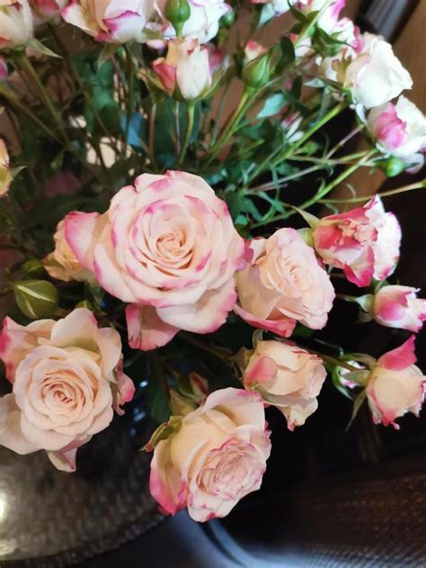18朵玫瑰代表什么意思粉色(永恒的爱—粉色玫瑰花语) - 【爱喜匠】