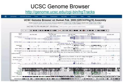 【生物信息学笔记】UCSC基因组浏览器_track
