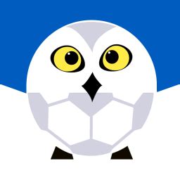 雪缘园足球app下载-雪缘园足球即时比分手机版v3.4.8 安卓版 - 极光下载站