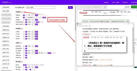 seo助手最新版下载-seo助手官方版v1.0 绿色版 - 极光下载站