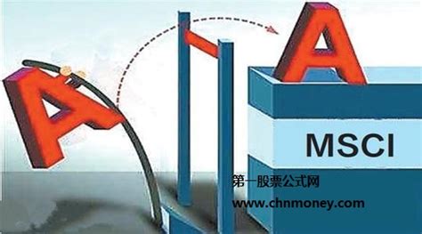 今年成立的MSCI中国A股国际通指数基金现在怎么样了？ 今年6月随着MSCI按照2.5%的纳入因子将A股正式纳入MSCI新兴市场指数中， 9月 ...