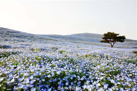 日本茨城县地图图片