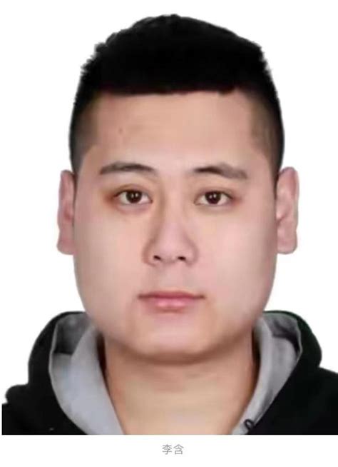 团伙实施“套路贷” 哈尔滨警方公开征集这些人违法犯罪线索_手机新浪网