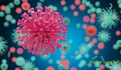 如何区分感冒流感和新冠冠病毒 新型冠状病毒和感冒有什么不同 _八宝网