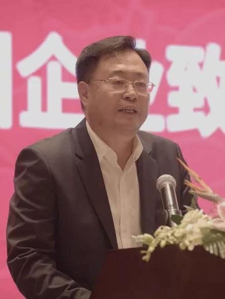 中国中车孙永才会见中铝集团董事长段向东-国际风力发电网