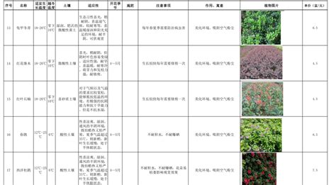 Z08植物品种苗木选型cad苗木表种植图库配置全国常用分类习性景观-淘宝网