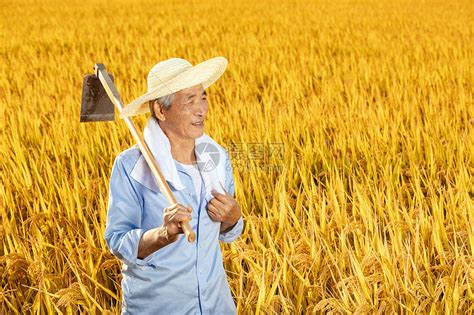 农民伯伯拿锄头在稻田里歇息高清图片下载-正版图片501429701-摄图网