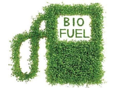 埃克森美孚与合成基因组公司共同推进藻类生物燃料计划_新能源资讯_新能源网