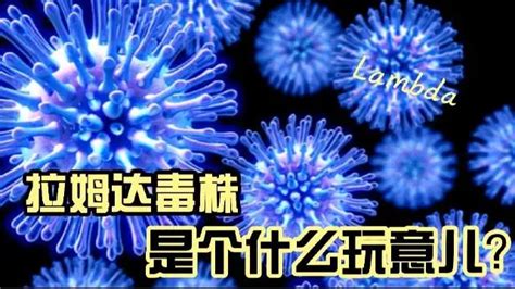 【病毒学】第三节 病毒的结构 - 知乎
