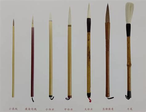 毛笔的种类（毛笔的基本分类有哪些） – 碳资讯