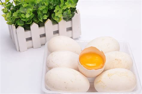 蘑菇炒鹅蛋怎么做 蘑菇炒鹅蛋的做法 - 天奇生活