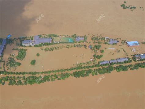 洪水为何触目惊心？丨洣水科普大讲堂 第二十三期 _湿地保护_www.shidicn.com
