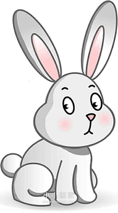 描写小兔子的生活习性（兔子的习性）「记得收藏」 - 综合百科 - 绿润百科