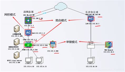 什么是网络？网络设备有哪些？