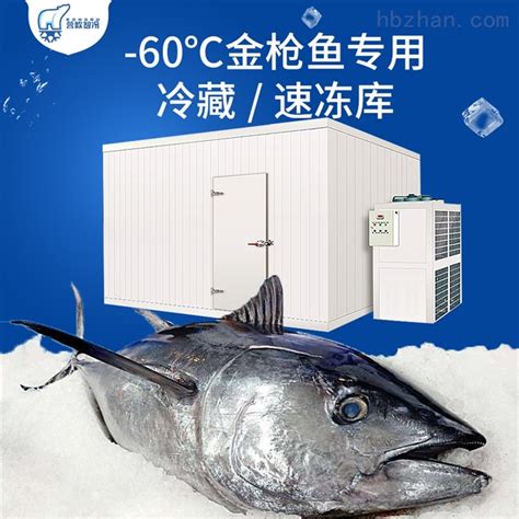 零下-60℃度金枪鱼专用冷库速冻库全套设备-环保在线