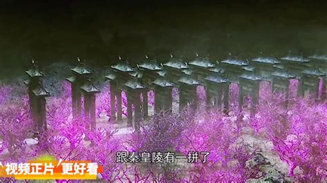 宫图图片