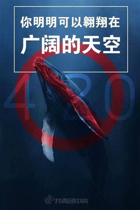 大蓝鲸下载2020安卓最新版_手机app官方版免费安装下载_豌豆荚