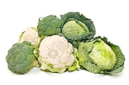 卷心菜和包菜的区别（怎样区分卷心菜和包菜） – 碳资讯