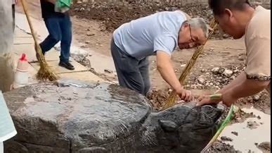 云霄渡头岩挖出大石龟 将予以原地保护 - 民生 - 东南网漳州频道