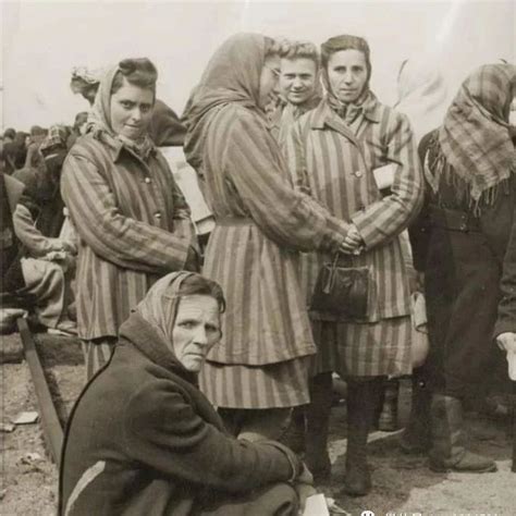 老照片：纳粹犹太女子集中营的悲惨之景、被装进水泥油桶的人、可怜的犹太女性 - AI牛丝