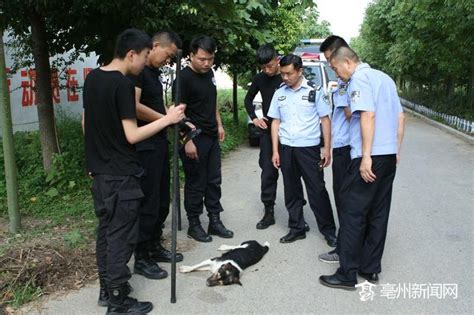 北京被虎咬伤女当事人首度发声 向动物园索赔200余万__中国青年网