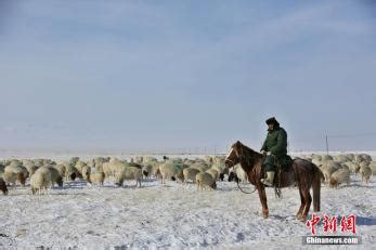 草原牧民在牧驼高清图片下载_红动中国