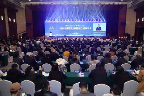 2023中国（保定）数据服务产业创新大会举行，国内首个《数据服务产业图谱》发布_河北日报客户端