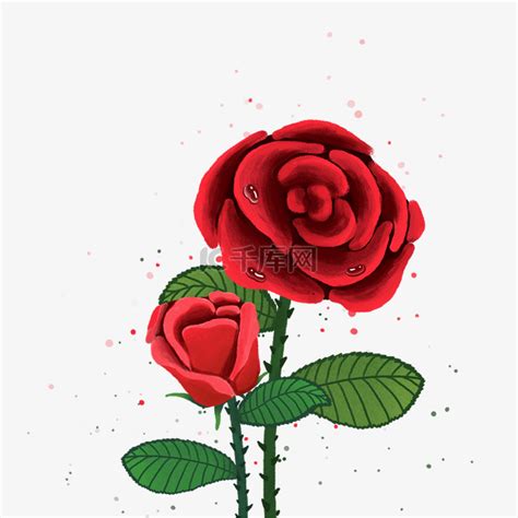 红色玫瑰花两朵玫瑰素材图片免费下载-千库网
