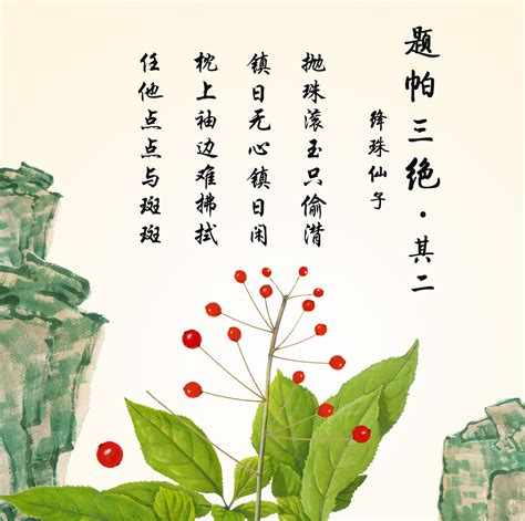 绛珠草图片